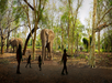 A group of people, including children, walk in a wooded area with several elephants visible among the trees in the background.