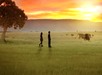 Two people stand in a grassy plain at sunset, watching a lion walk in the distance near a tree.