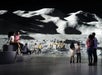 SPACE Rover on the moon