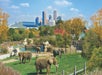 Indianapolis Zoo elephants with a downtown skyline view.