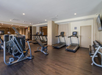 A gym with treadmills, exercise machines, and a set of dumbbells on a rack, all on a dark wood floor.