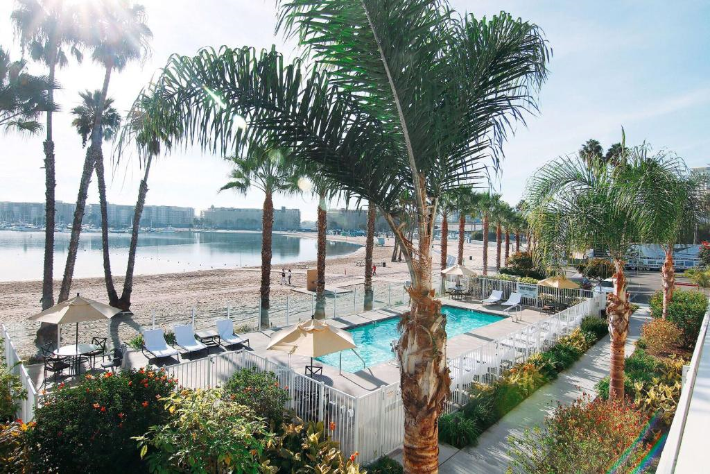 Beachfront outdoor pool with sun loungers and umbrellas.