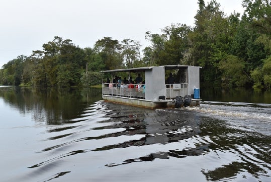 Jean Lafitte Swamp Tours