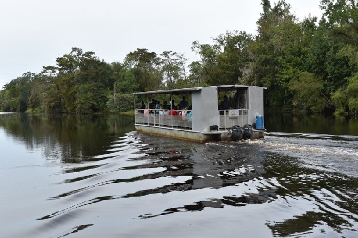 Jean lafitte swamp tour groupon online