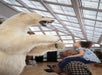 Johnny Morris' Wonders of Wildlife National Museum & Aquarium in Springfield, MO