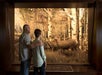Johnny Morris' Wonders of Wildlife National Museum & Aquarium in Springfield, MO