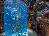Johnny Morris' Wonders of Wildlife National Museum & Aquarium in Springfield, MO