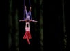 An aerial acrobatic duet at KA by Cirque Du Soleil.