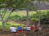 Kauai Sea Tours Na Pali Coast Beach Landing Raft Adventure #5 in Eleele, Hawaii