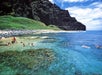 Kauai Sea Tours Na Pali Coast Beach Landing Raft Adventure #5 in Eleele, Hawaii