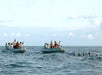 Kauai Sea Tours Rafting Whale Watch Discovery #9 in Eleele, Hawaii