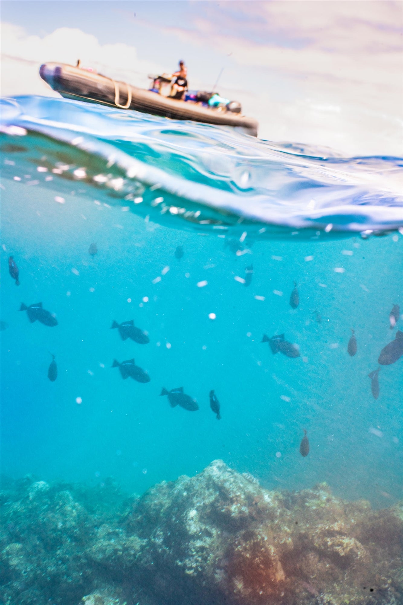 Underwater view of fish swimming above a rocky seabed, with a boat and a person visible on the water’s surface above.