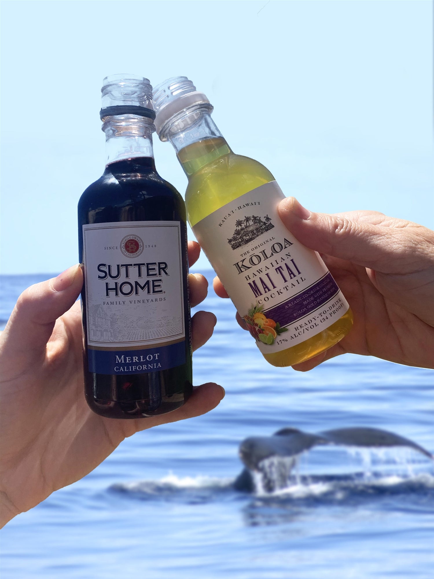 Raise a Glass to an Unforgettable Adventure!