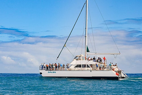 Lucky Lady Catamaran Whale watch