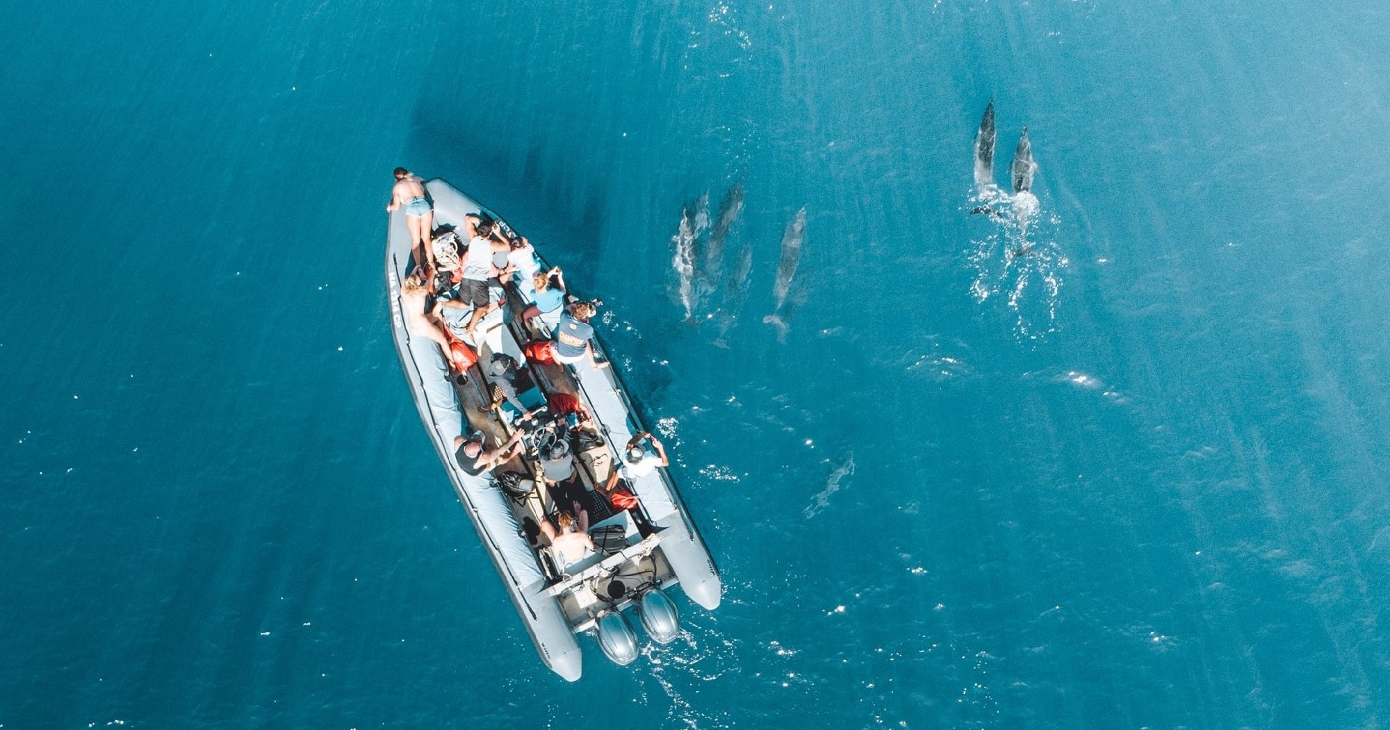 A group of people on an inflatable boat observe dolphins swimming nearby in clear blue water, viewed from above.