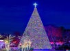 A tall, illuminated Christmas tree is adorned with multicolored lights and topped with a bright star, set against a night sky. Trees and buildings with festive lighting surround it.