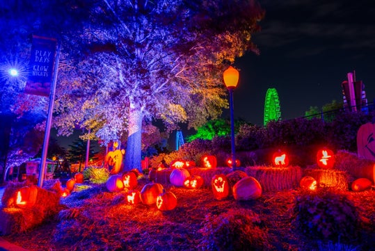 A nighttime scene with glowing carved pumpkins on hay bales, illuminated trees, a streetlamp, and a lit Ferris wheel in the background.