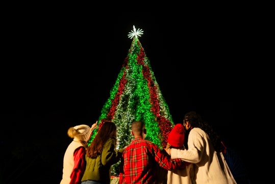Five people, seen from behind, stand closely together and look up at a large, decorated Christmas tree lit with green and red lights against a dark night sky.