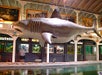 Key West Aquarium in Key West , Florida
