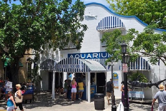 Key West Aquarium in Key West , Florida