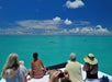 People on a boat watching dolphins in clear turquoise water under a bright blue sky with clouds.