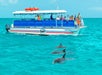 Tourists observe three dolphins swimming near a boat labeled "Fury" in clear turquoise water.