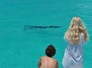 Two people on a boat observe a large fish in clear turquoise water.