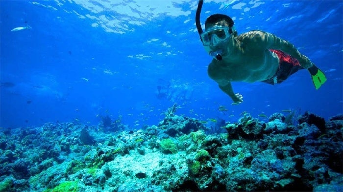 A man in red swim shorts exploring a reef on the Key West Double Dip 2-Stop Reef Snorkel in Key West, Florida.
