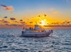Experience sunset magic and reef views on a glass-bottom boat.