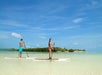 Dive into an eco-adventure! Kayaking, snorkeling, and discovering Florida’s vibrant marine life with Fury