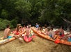 A group of people in kayaks gather around a guide in shallow water, surrounded by dense greenery.