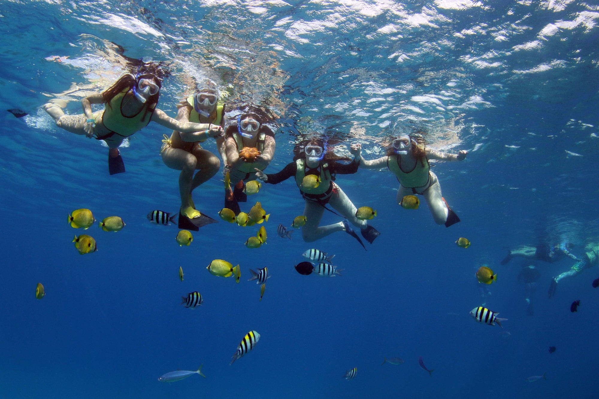 Four people snorkeling together above a school of colorful tropical fish in clear blue water.