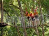 Five suspension lines crisscross the course