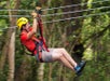 Zip between the Trees!