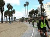 Palm trees everywhere