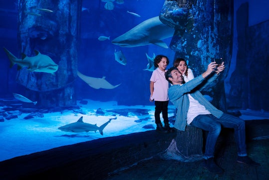 A man, woman, and child take a selfie together in front of a large aquarium tank with several sharks swimming in the background.