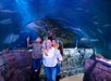 A family of four walks through an aquarium tunnel, looking up at various fish and sea creatures swimming overhead.