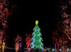The Lego Christmas tree at LEGOLAND Florida Resort.