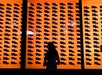 Silhouette of a person standing in front of an orange wall with rows of black bear silhouettes.