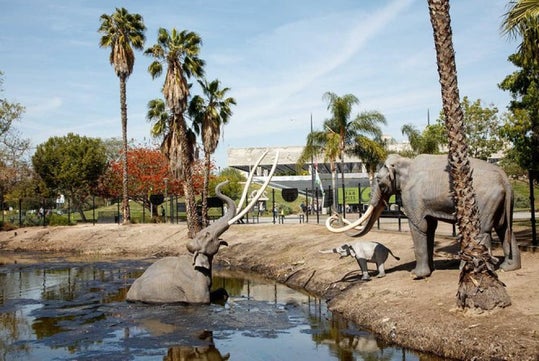 Statues of mammoths stand near a pond surrounded by palm trees in an outdoor park setting.