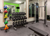 Your workout, your pace—fitness made easy and fun!