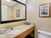 Bathroom with a large mirror above a granite countertop, a sink, toiletries on the left, and a framed black-and-white photo on the beige wall. Toilet on the right. Shower visible in the background.