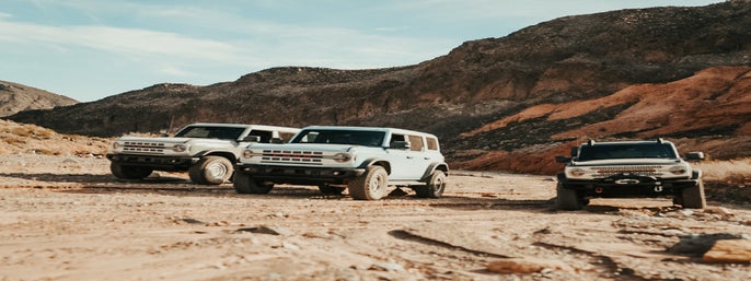 Las Vegas Guided Off-Road Adventure to Callville Wash  in Henderson, Nevada