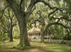 Laura Plantation: Louisiana's Creole Heritage Site in Vacherie, LA