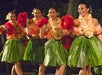 Luau Dancers - Voyagers of the Pacific in Kailua Kona, Big Island, Hawaii