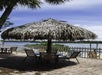 A thatched tiki hut shades a patio table by a waterfront, surrounded by empty chairs on a paved surface.