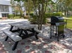 A picnic table and a barbecue grill on a patio surrounded by trees and shrubs.