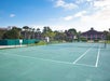 Empty outdoor tennis court with green surface, surrounded by a fence and trees, with residential buildings in the background under a clear blue sky.