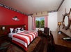 Hotel room with a pirate theme, featuring a red accent wall, pirate decor, striped bedding, desk, chair, and window with a view of greenery outside.