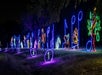 A lighting display at the Lights of Joy
